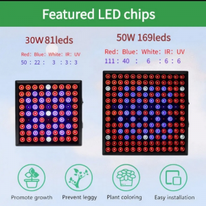 LED Full Spectrum Plant Grow Light 50w 80W Red Blue Light for Green House