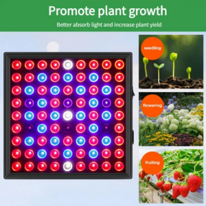 LED Full Spectrum Plant Grow Light 50w 80W Red Blue Light for Green House